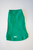 Load image into Gallery viewer, Let's Pawty Sweater, Bandana, & Charm Bundle