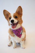 Load image into Gallery viewer, Spark of Sass Bandana