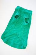 Load image into Gallery viewer, Let's Pawty Sweater, Bandana, & Charm Bundle
