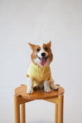 Load image into Gallery viewer, Drama But Make It Cute Hoodie
