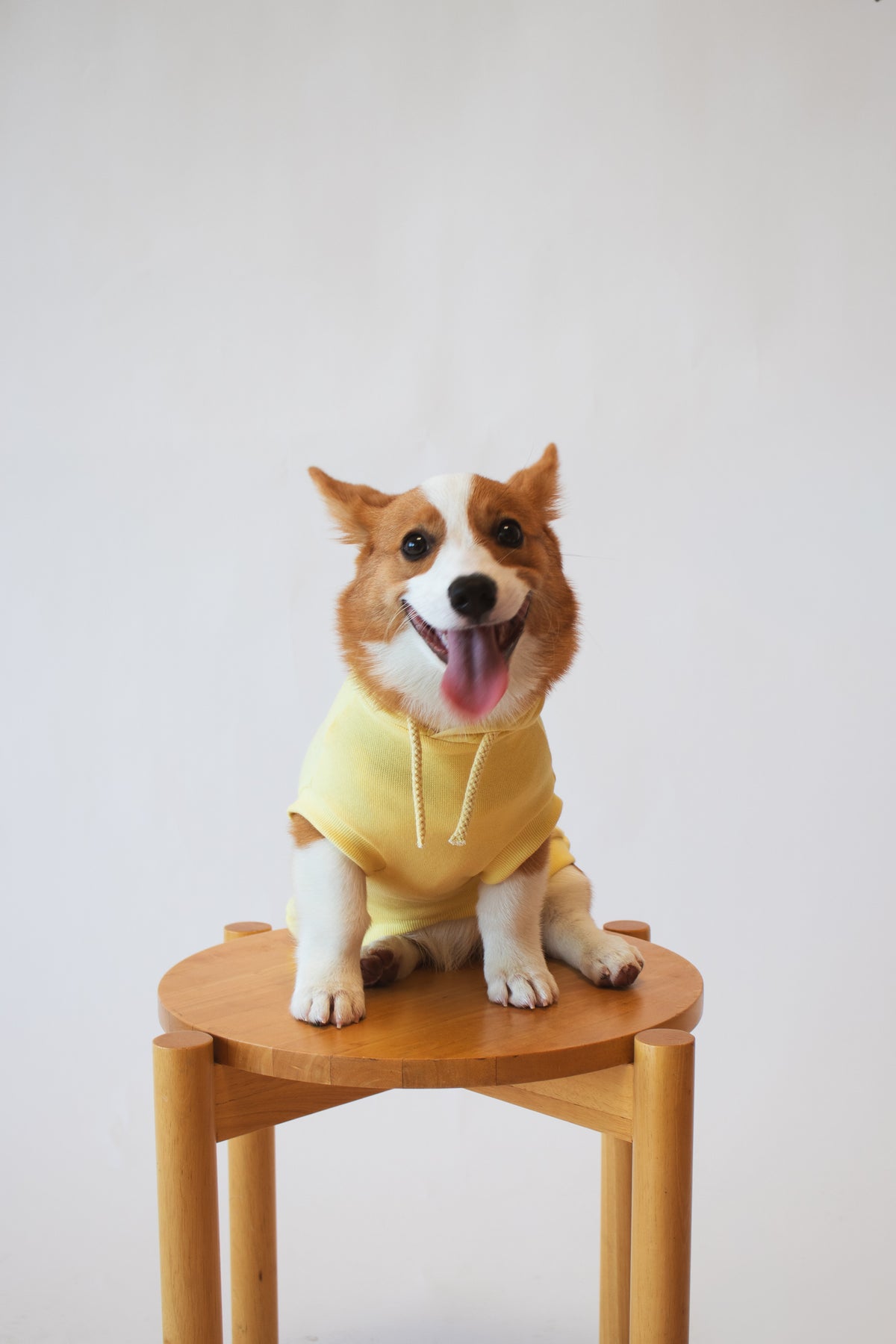 Drama But Make It Cute Hoodie
