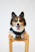 Load image into Gallery viewer, Corgi All-Star Hoodie
