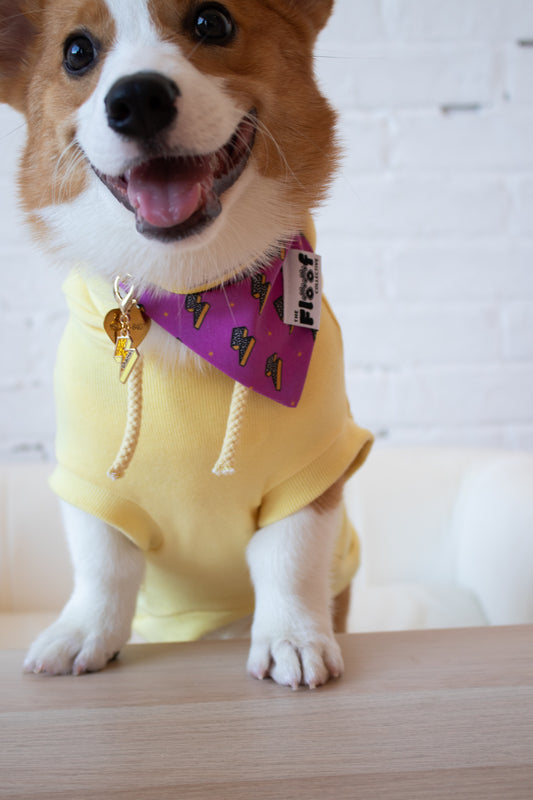 I'm the Drama Corgi Hoodie, Bandana & Charm Bundle