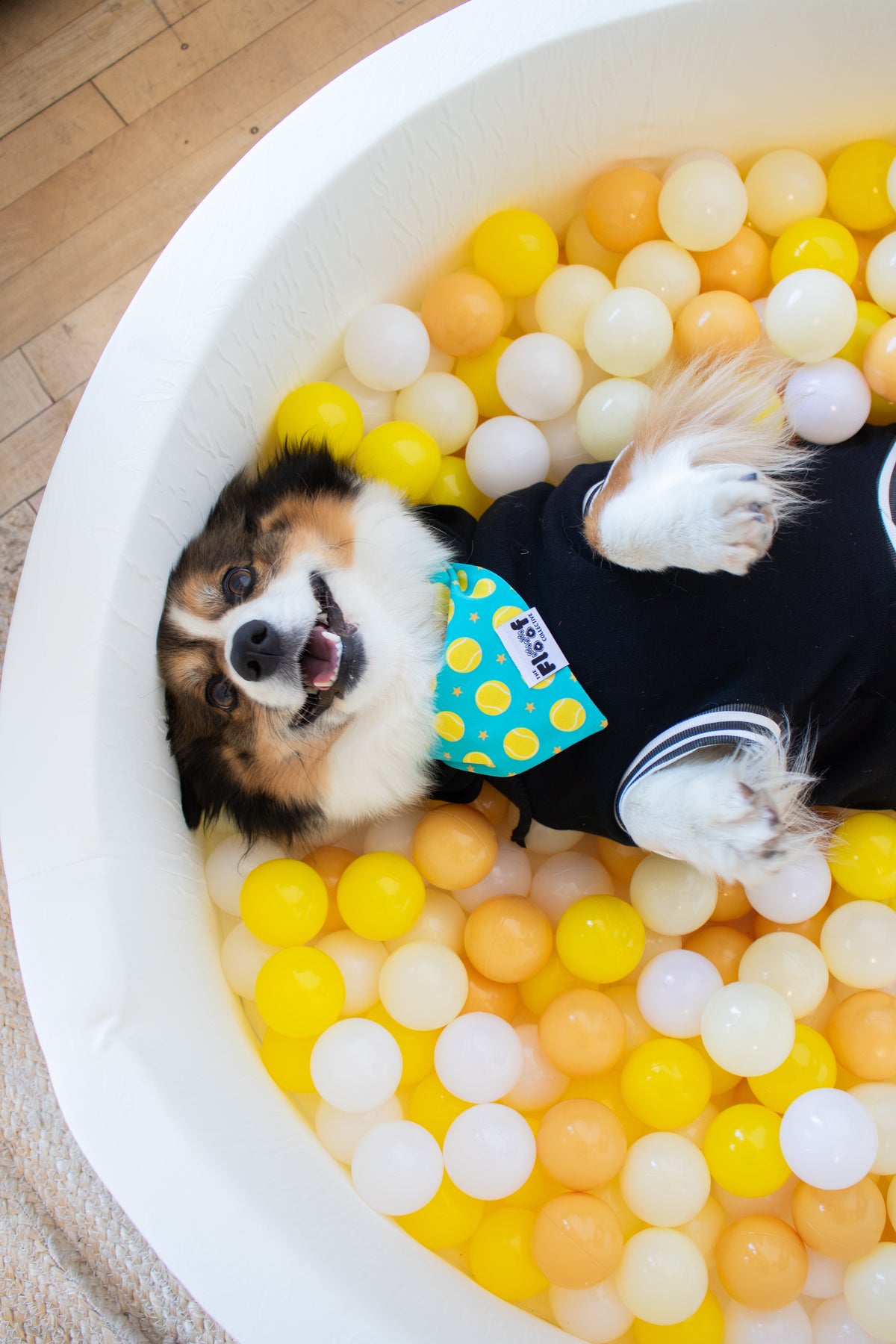 Ball is Life Hoodie, Bandana, & Charm Bundle