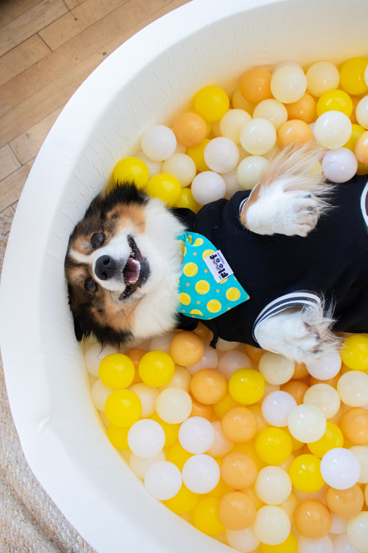 Ball is Life Hoodie, Bandana, & Charm Bundle