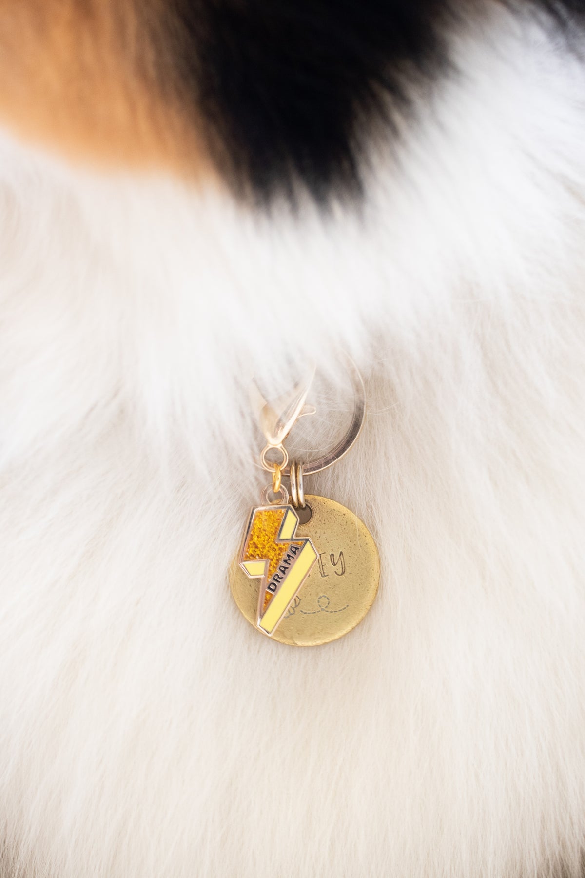 Drama Queen Collar Charm