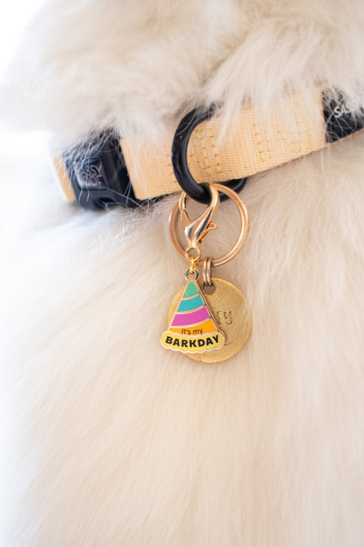 Party Pup Collar Charm