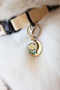 Load image into Gallery viewer, Champion Chonk Collar Charm
