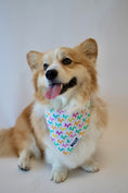 Load image into Gallery viewer, Funfetti Bandana
