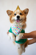 Load image into Gallery viewer, Let's Pawty Sweater, Bandana, & Charm Bundle
